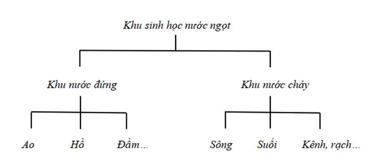 BÀI 45. SINH QUYỂN (21 câu)