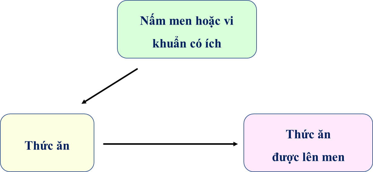 BÀI 8: SẢN XUẤT VÀ CHẾ BIẾN THỨC ĂN CHĂN NUÔI