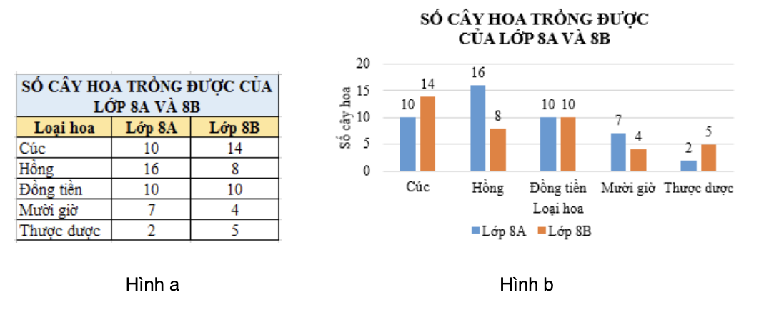 1. NHẬN BIẾT (8 câu)