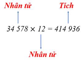 1. NHẬN BIẾT (5 câu)
