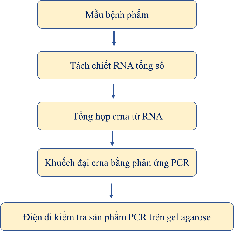 BÀI 15: ỨNG DỤNG CÔNG NGHỆ SINH HỌC TRONG PHÒNG, TRỊ BỆNH VẬT NUÔI