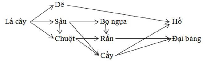 BÀI 44. HỆ SINH THÁI (21 câu)