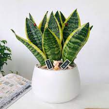 Nhận biết