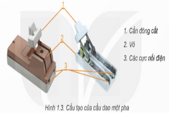 1. NHẬN BIẾT (4 CÂU)