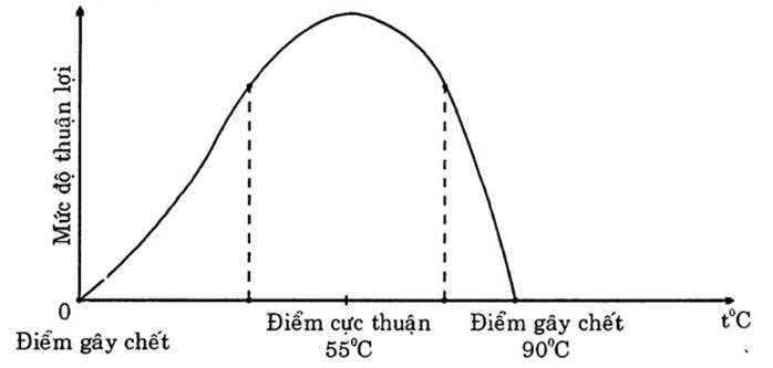 CHƯƠNG VIII. SINH VẬT VÀ MÔI TRƯỜNG