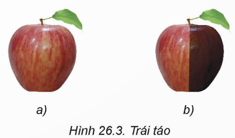 CHƯƠNG 7: PHẦN MỀM CHỈNH SỬA ẢNH VÀ LÀM VIDEO