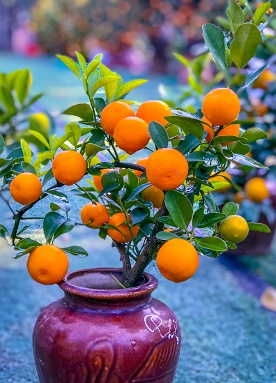 Nhận biết