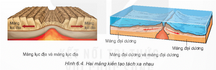 1. NHẬN BIẾT (9 câu)