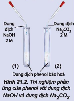 BÀI 21: PHENOL