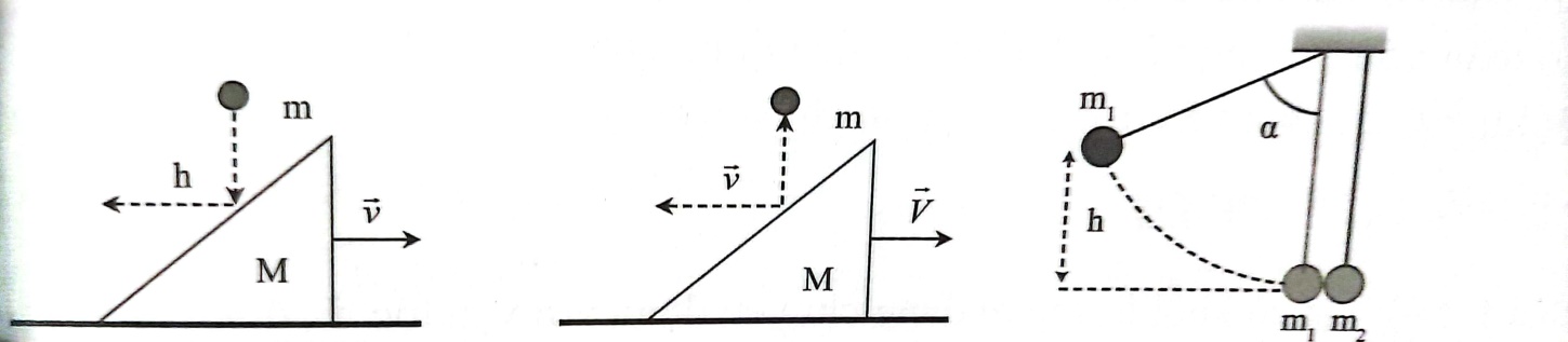 CÂU 28: ĐỘNG LƯỢNG