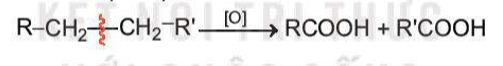 BÀI 24: CARBOXYLIC ACID