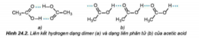 BÀI 24: CARBOXYLIC ACID