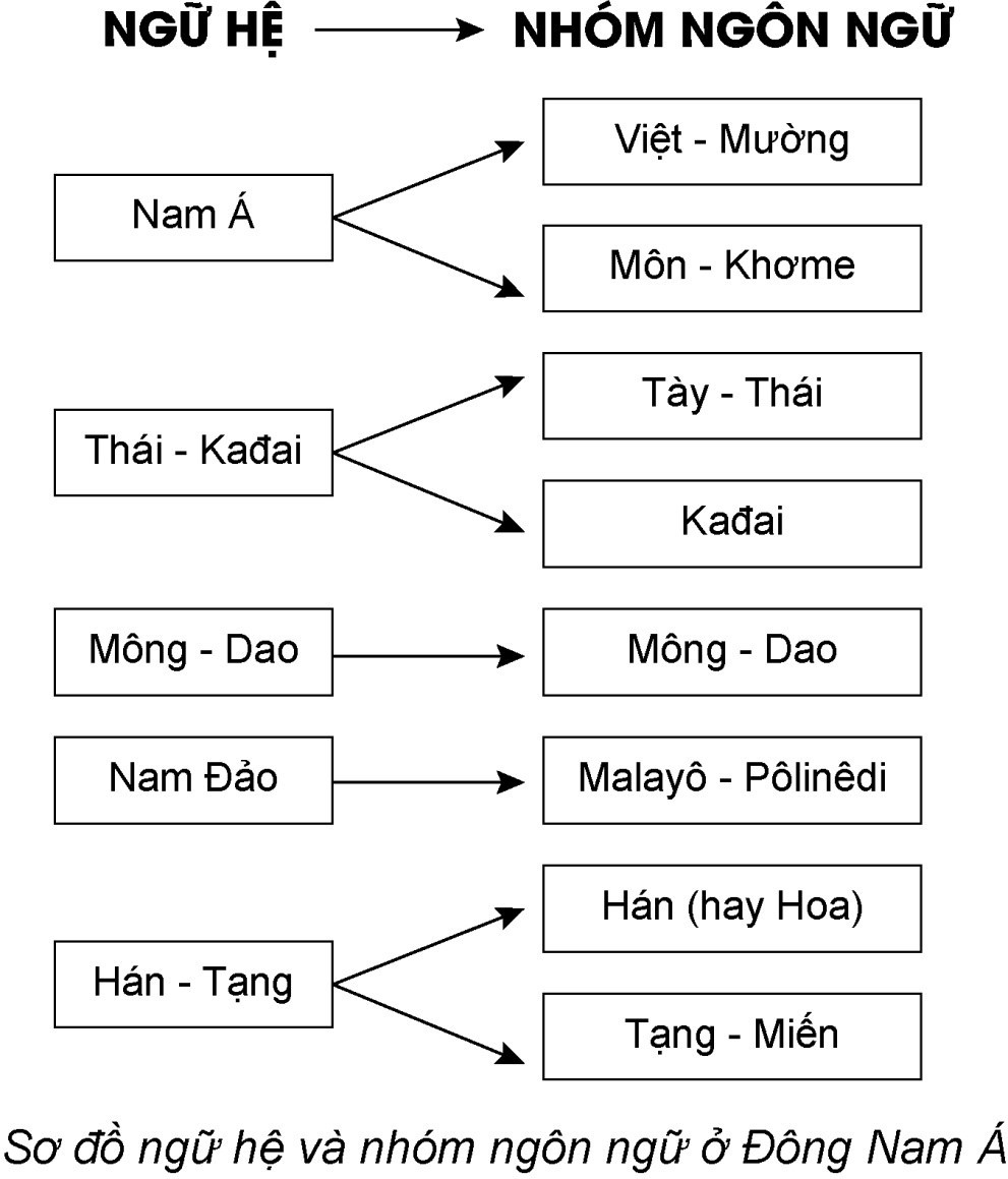 1. NHẬN BIẾT (8 CÂU)
