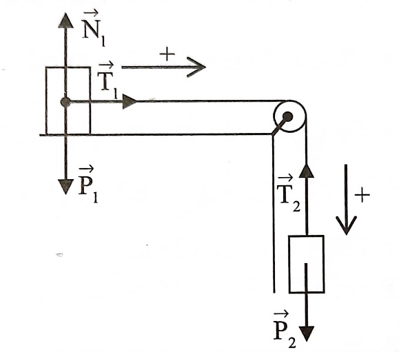 BÀI 17: TRỌNG LỰC VÀ LỰC CĂNG