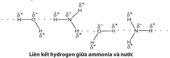 BÀI 5: AMMONIA – MUỐI AMMONIUM