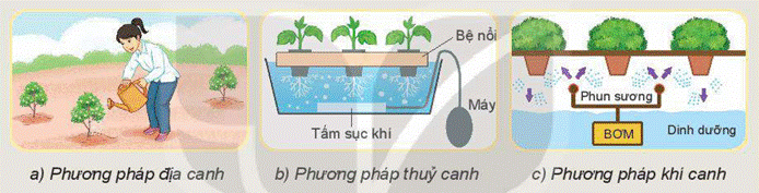 BÀI 1: CÔNG NGHỆ VÀ ĐỜI SỐNG (15 CÂU)