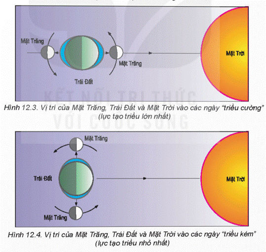 1. NHẬN BIẾT (9 câu)