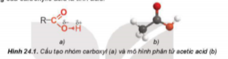 BÀI 24: CARBOXYLIC ACID
