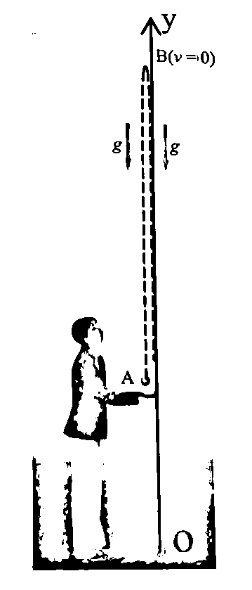 BÀI 10: SỰ RƠI TỰ DO (17 CÂU)