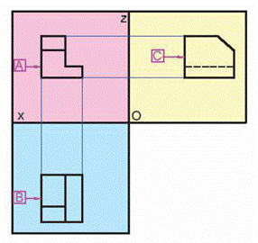 BÀI 9: HÌNH CHIẾU VUÔNG GÓC (15 CÂU)