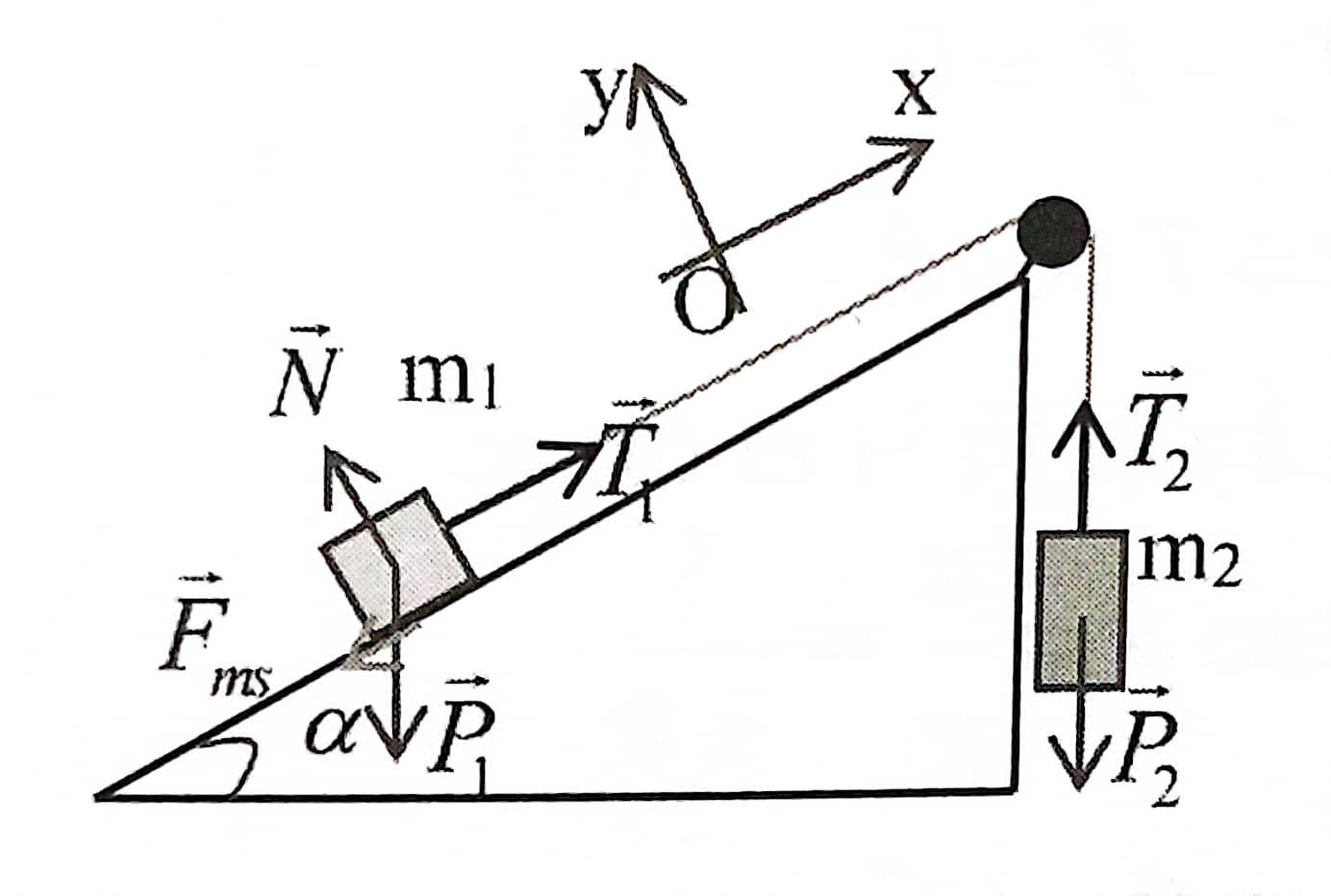 BÀI 17: TRỌNG LỰC VÀ LỰC CĂNG