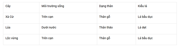 1. NHẬN BIẾT (4 CÂU)