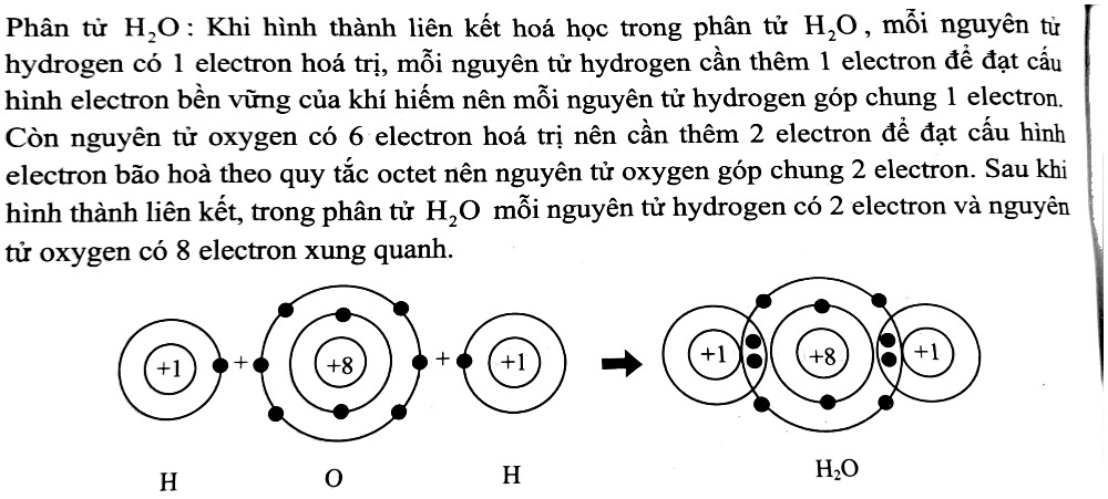 1. NHẬN BIẾT