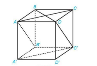 BÀI 22. HAI ĐƯỜNG THẲNG VUÔNG GÓC