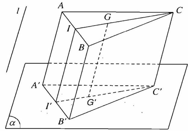BÀI 14: PHÉP CHIẾU SONG SONG