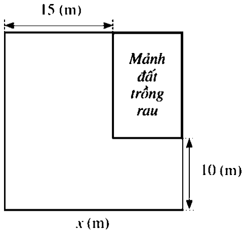 1. NHẬN BIẾT (6 câu)