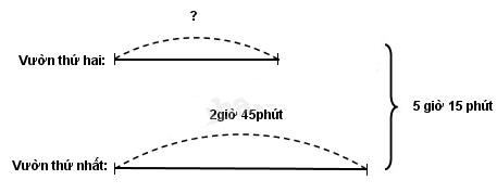 1. NHẬN BIẾT (8 CÂU)