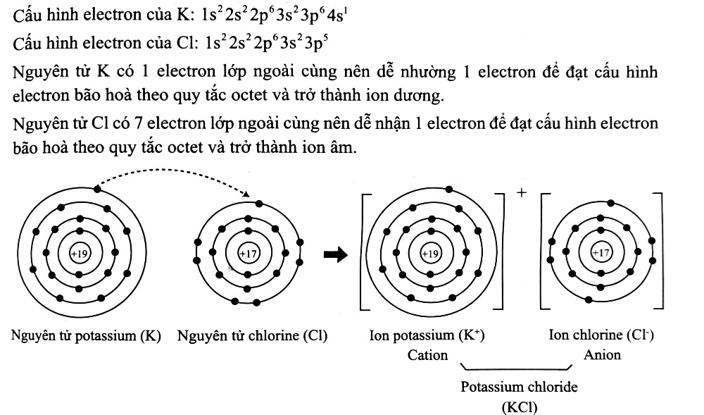 1. NHẬN BIẾT