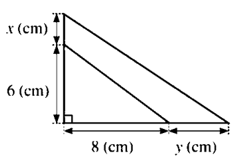 1. NHẬN BIẾT (6 câu)