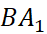 BÀI 14: PHÉP CHIẾU SONG SONG