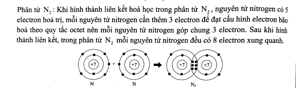 1. NHẬN BIẾT
