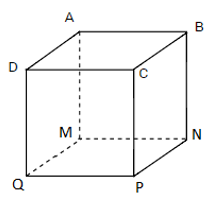 1. NHẬN BIẾT (7 CÂU)