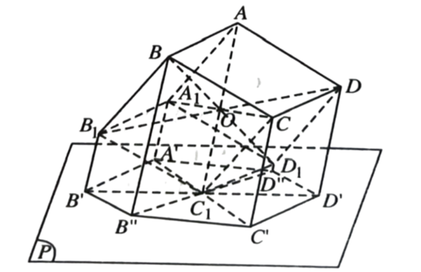 BÀI 14: PHÉP CHIẾU SONG SONG