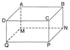 1. NHẬN BIẾT (7 CÂU)