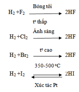 BÀI 21: NHÓM HALOGEN