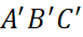 BÀI 14: PHÉP CHIẾU SONG SONG