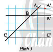 1. NHẬN BIẾT (7 câu)