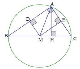 1. NHẬN BIẾT (5 CÂU)