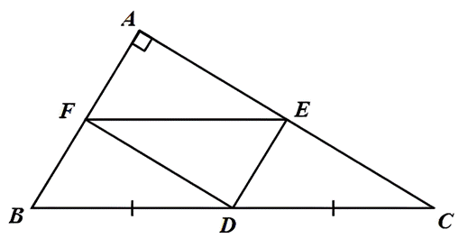 1. NHẬN BIẾT (6 câu)