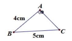 1. NHẬN BIẾT (4 CÂU)