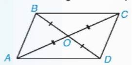 1. NHẬN BIẾT (5 CÂU)