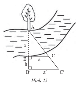 1. NHẬN BIẾT (7 câu)