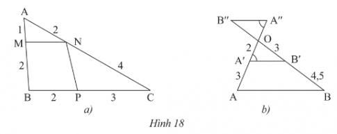 1. NHẬN BIẾT (7 câu)