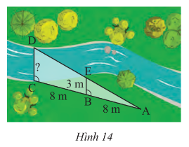 1. NHẬN BIẾT (7 câu)