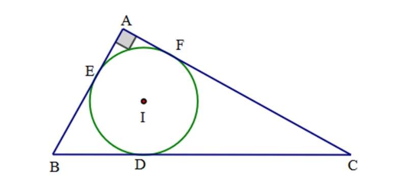 1. NHẬN BIẾT (5 CÂU)