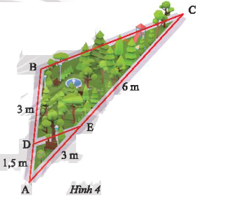 1. NHẬN BIẾT (7 câu)